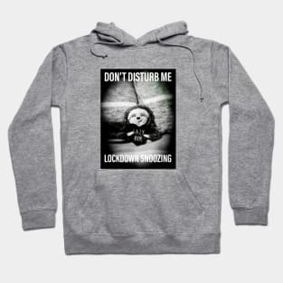 Don't Disturb Me Lockdown Snoozing Hoodie